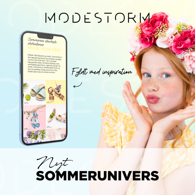 MODESTORM