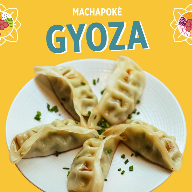 New in: GYOZA!🥟 