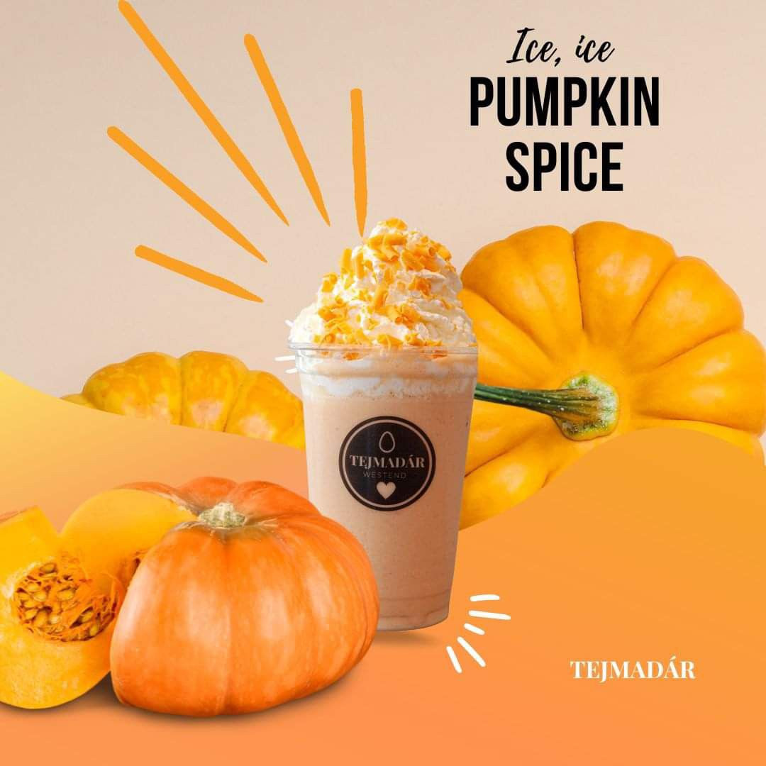 Itt van a szezon kedvence: Ice, ice PUMPKIN SPICE! 🎃