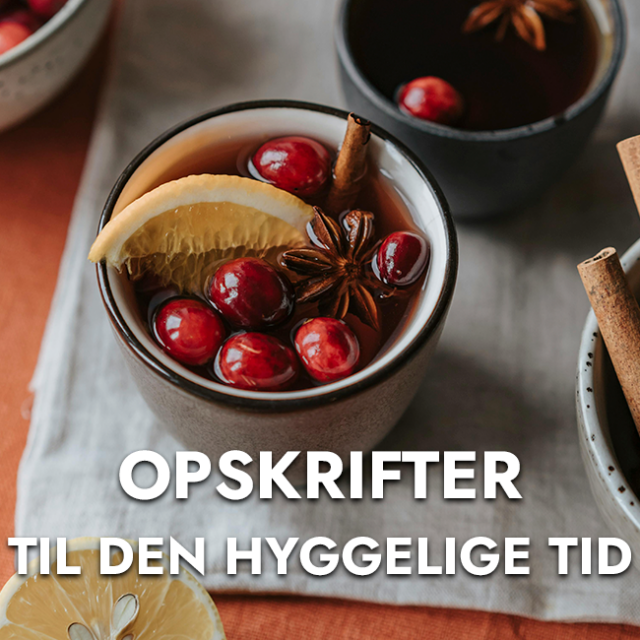 Perfekte Opskrifter til de Kolde Vinterdage