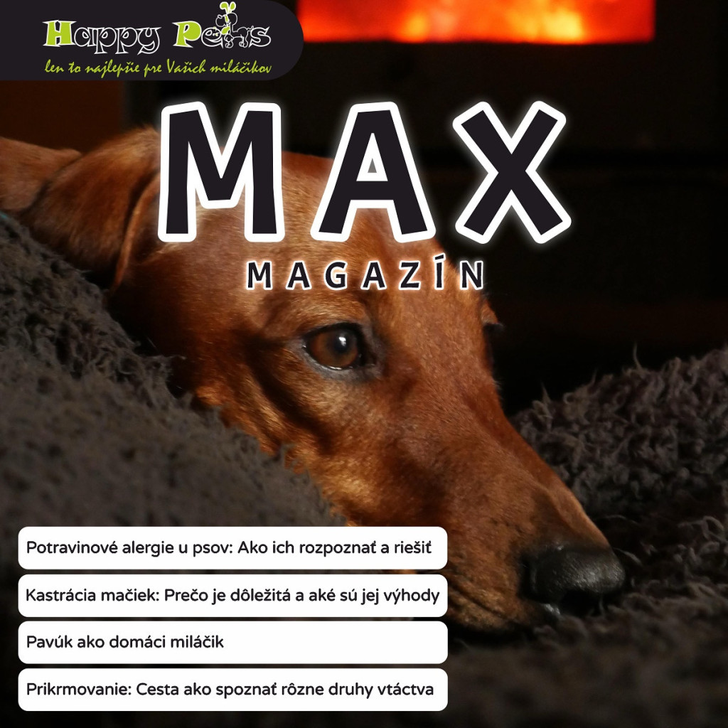 MAX magazín 01-03-25