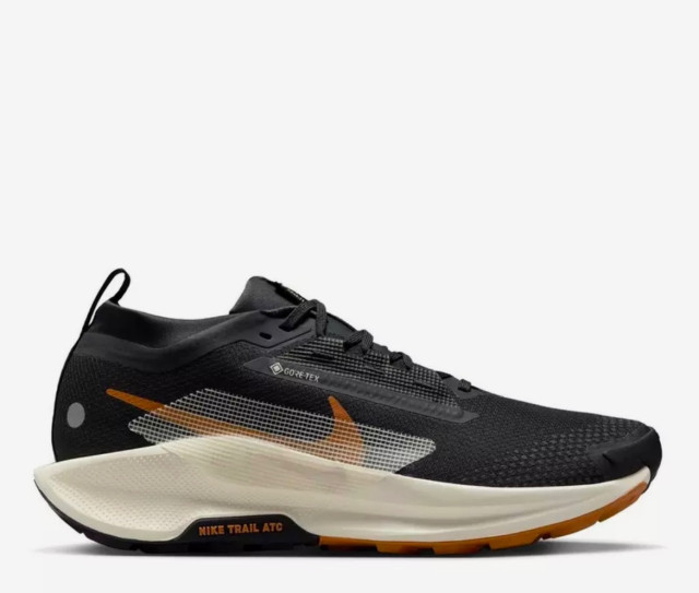 Nike pegasus 5 Gore-tex Trail