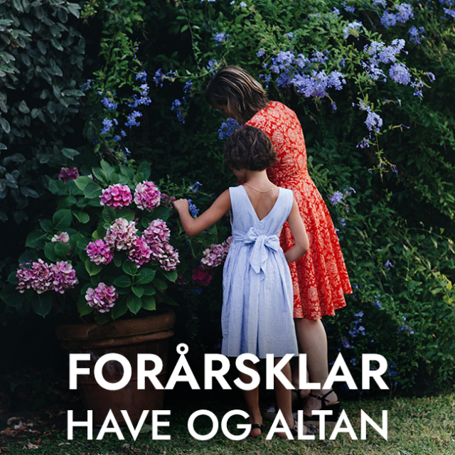 Forårsklar have og altan – de vigtigste opgaver i marts