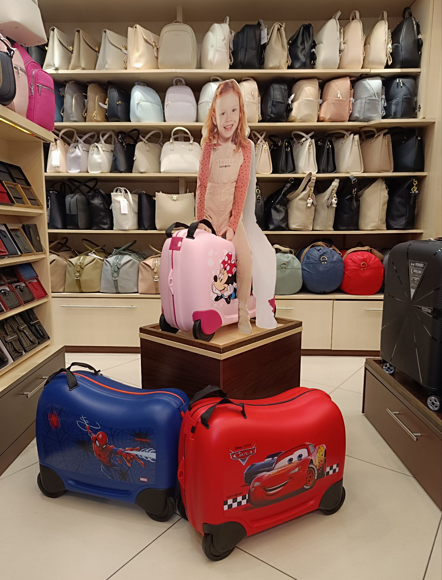 Samsonite Dream Rider