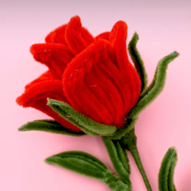 Roser, liljer eller tulipaner 🌹🌷