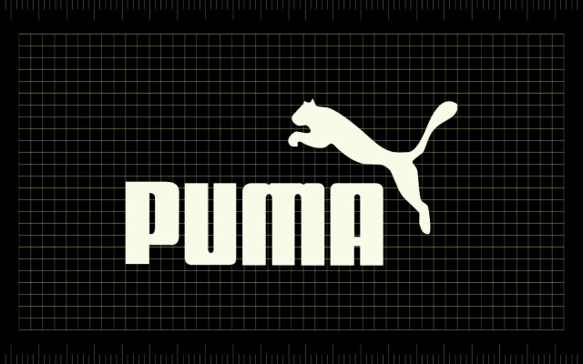 Puma 🐈‍⬛