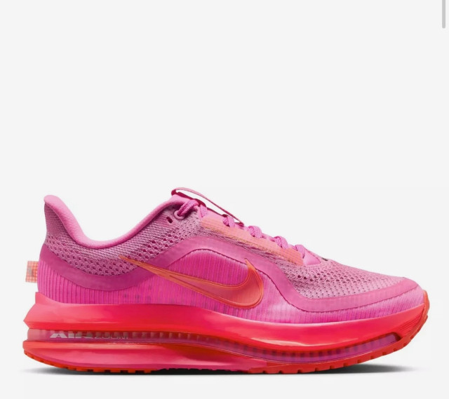 Nike Pegasus Premium