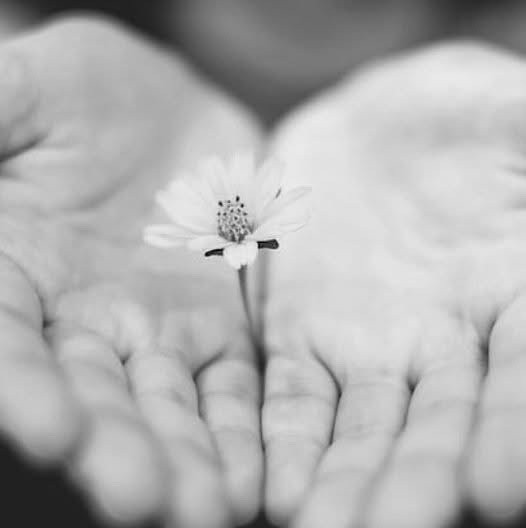 🌼Knæk Cancer🌼