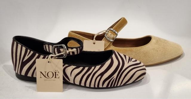 🍂🍂Noë🍂🍂