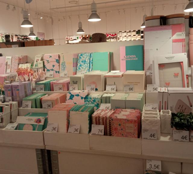 Organise your Life adult