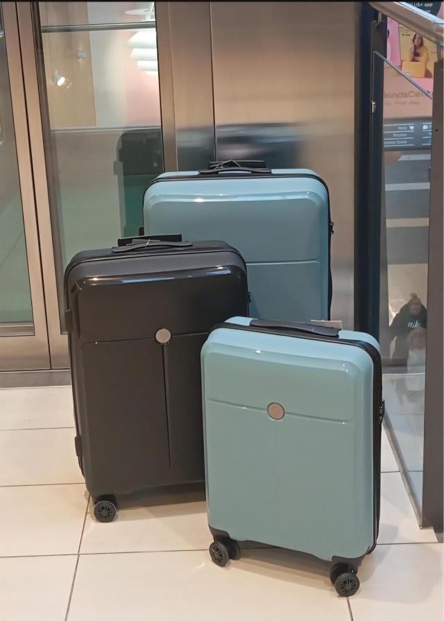 🌸🌸North Pioneer🌸🌸