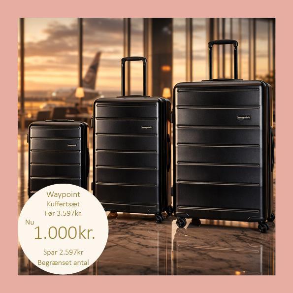 🔥 VILDT TILBUD! 🔥