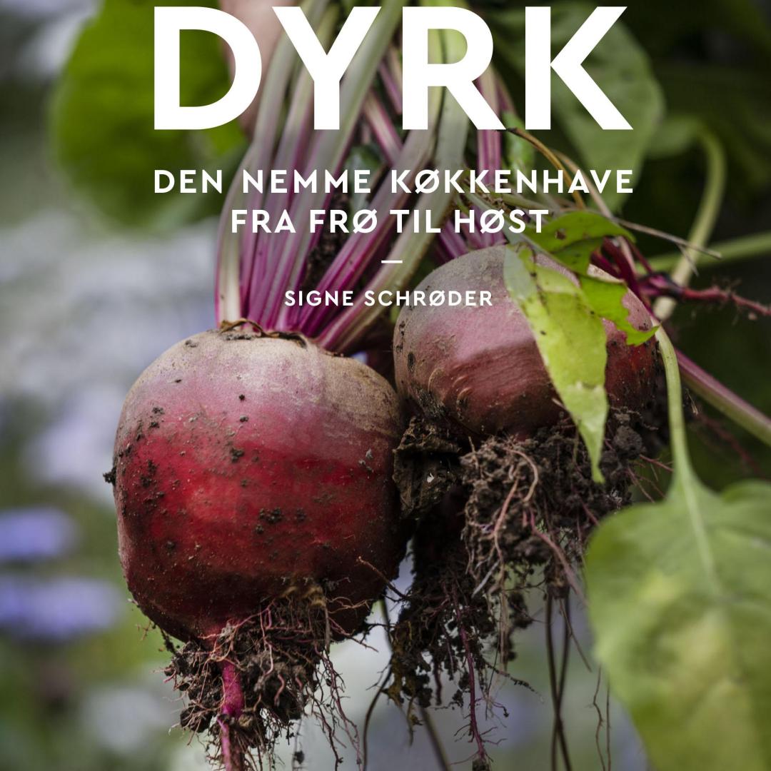 STÆRK PRIS........STÆRK PRIS