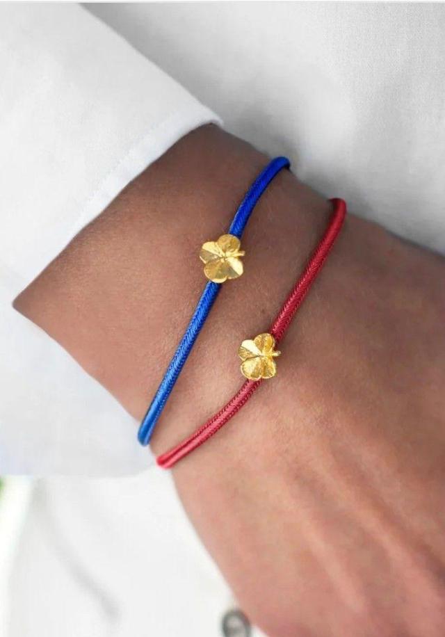 💙❤️Flora Danica ❤️💙