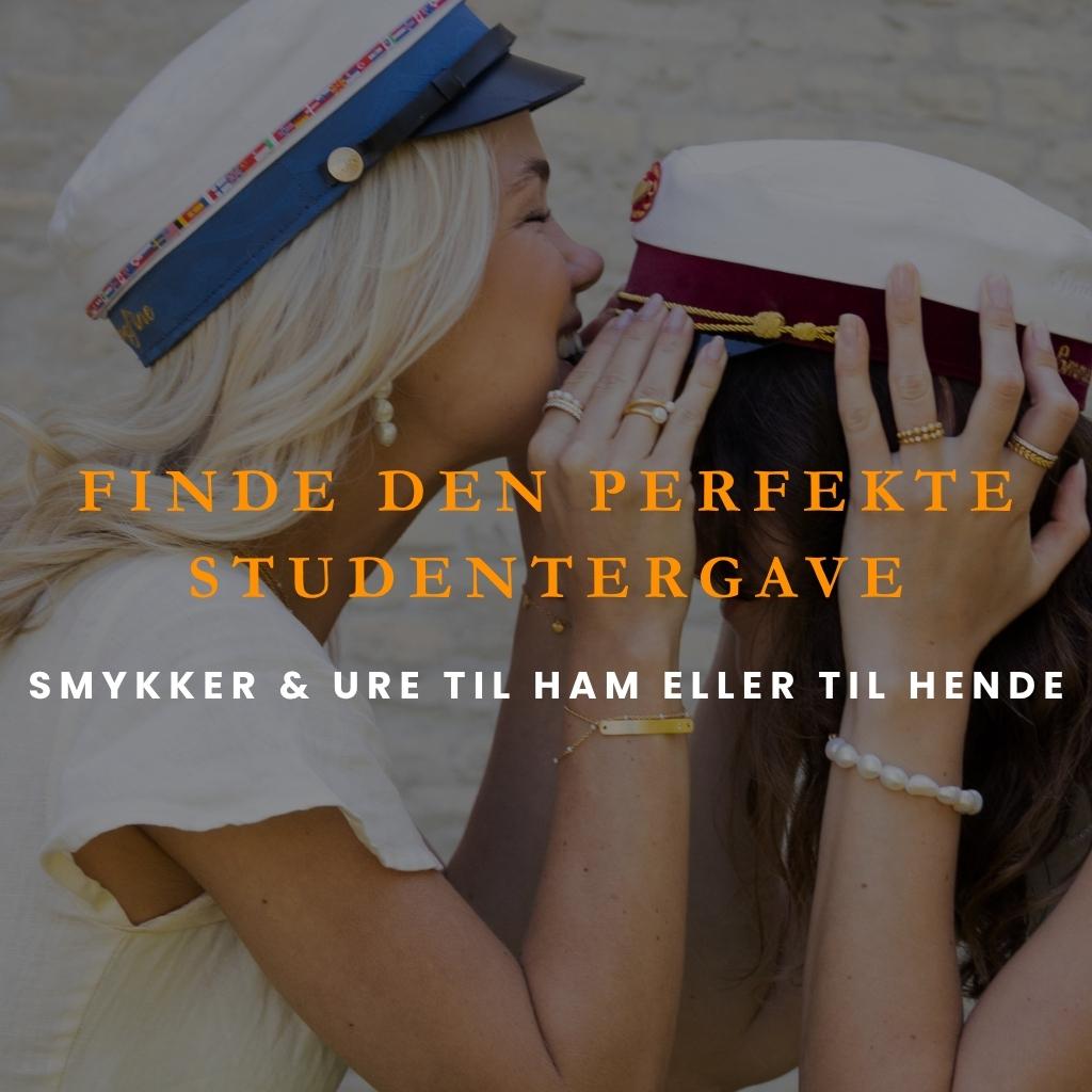 Find studentergaven