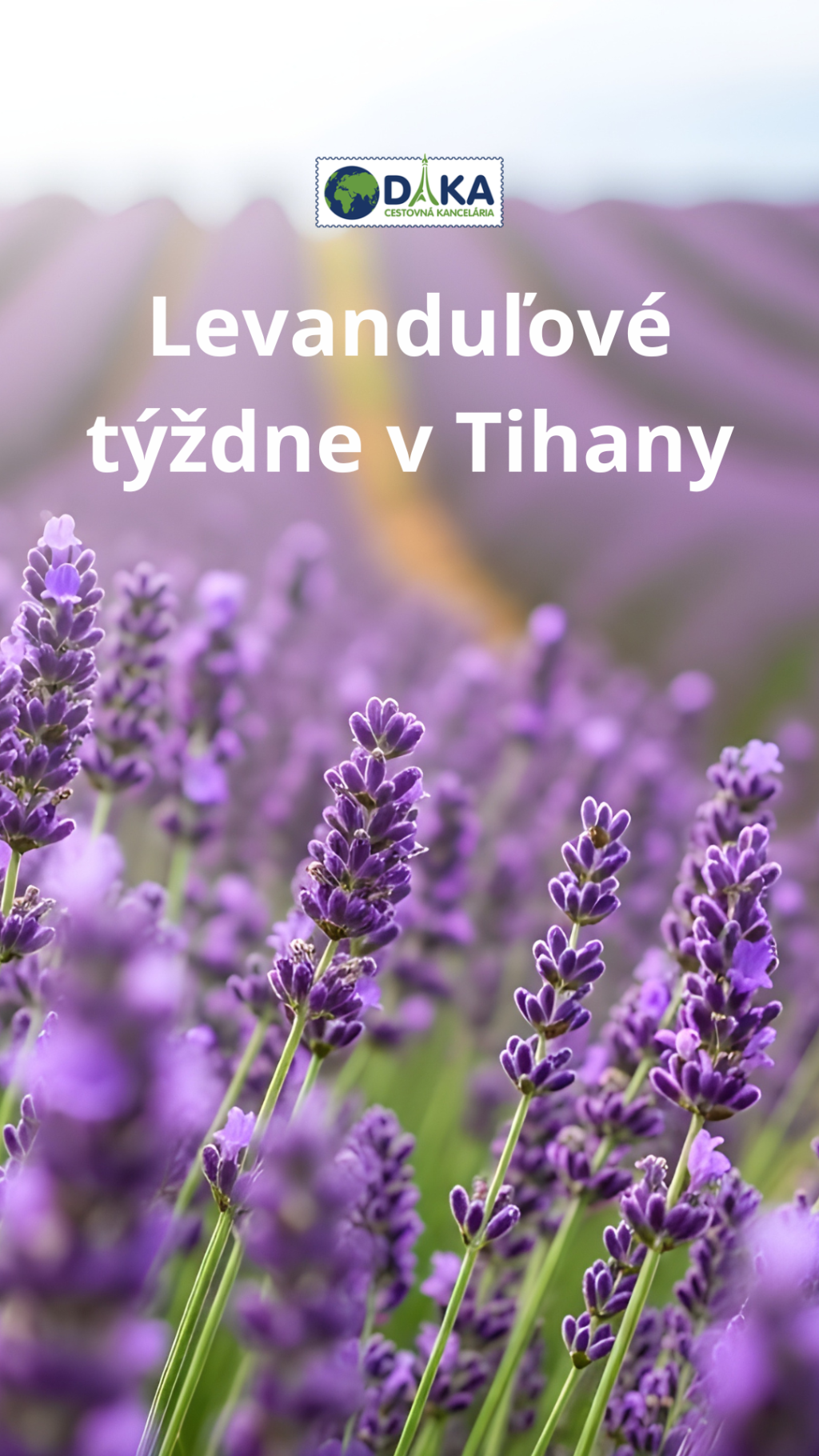 💜 Levanduľová rozprávka v Tihany 🌿✨