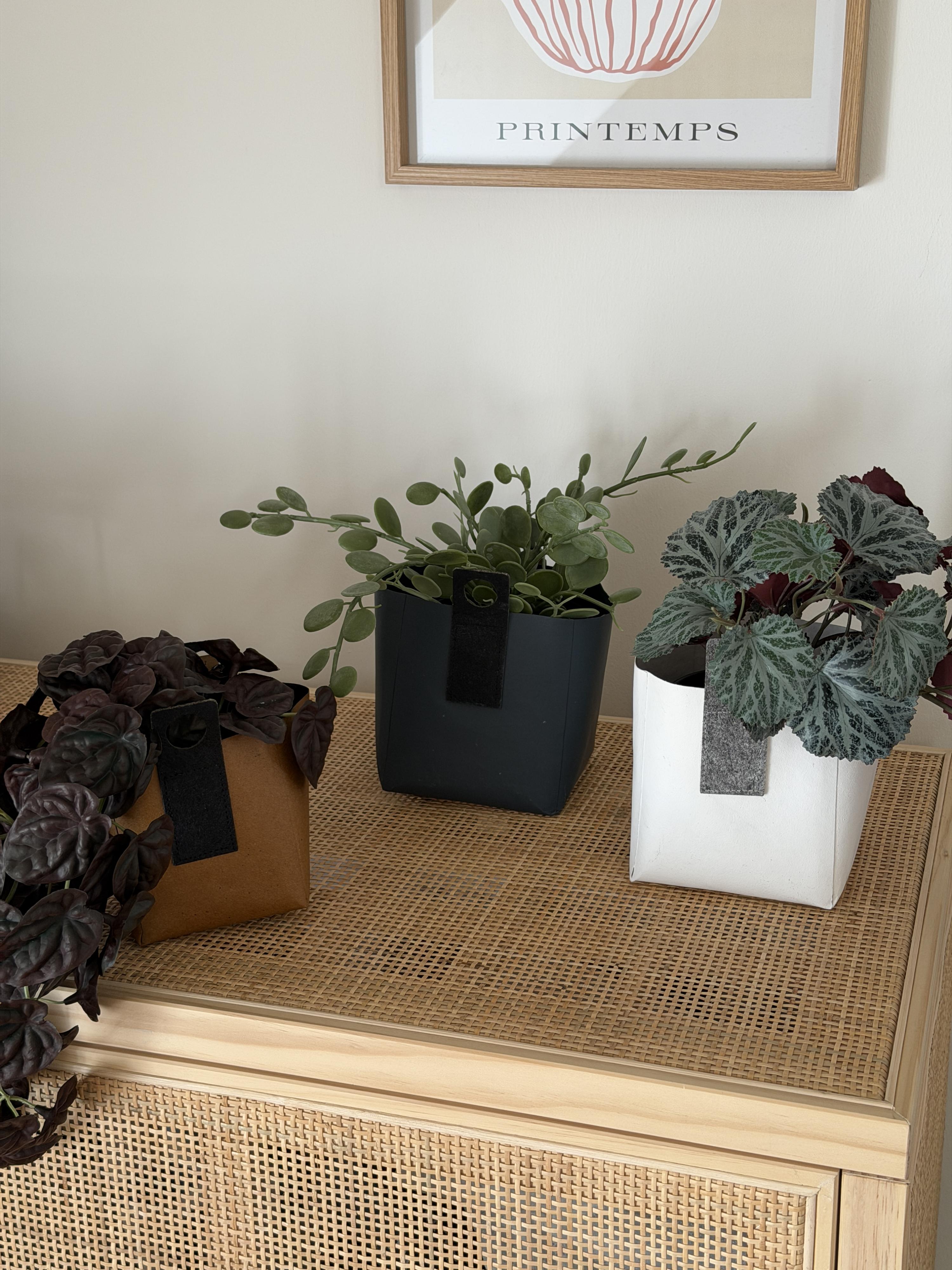 Gr&oslash;nne planter &ndash; helt uden gr&oslash;nne fingre