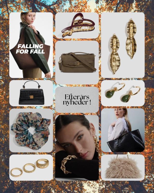 🍂News 🍁