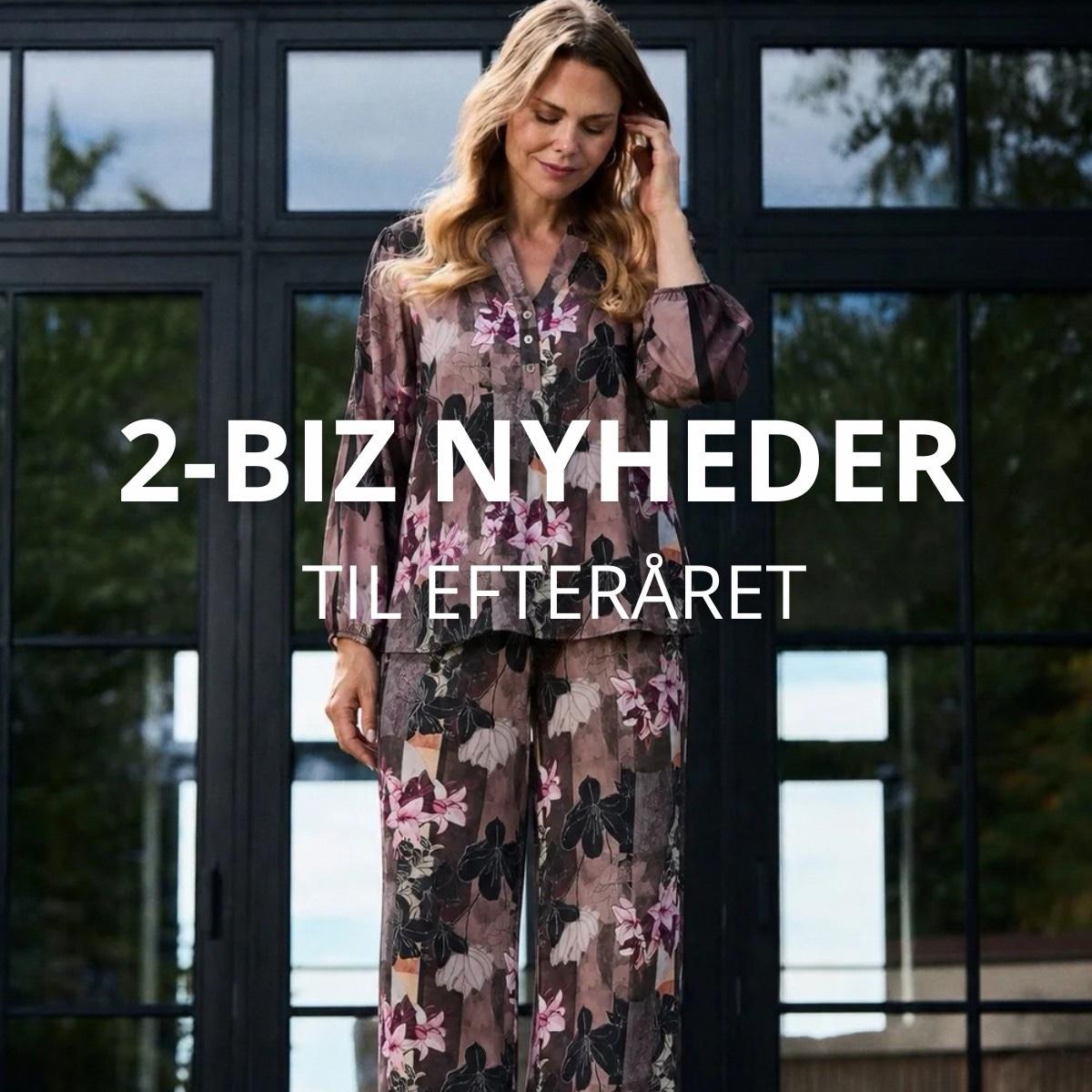 2-BIZ NYHEDER